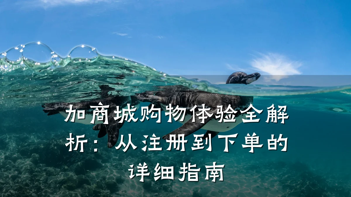 加商城购物体验全解析:从注册到下单的详细指南