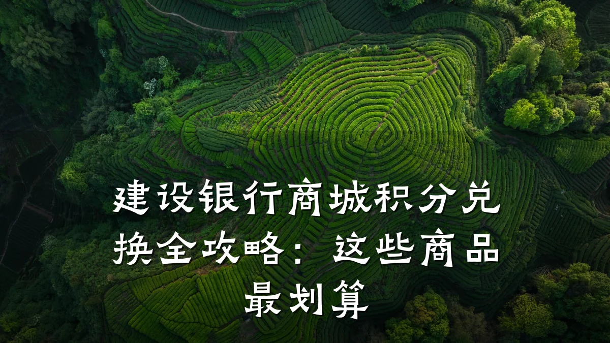 建设银行商城积分兑换全攻略:这些商品最划算