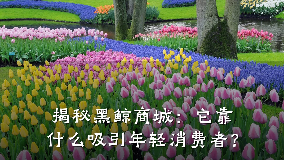 揭秘黑鲸商城：它靠什么吸引年轻消费者？