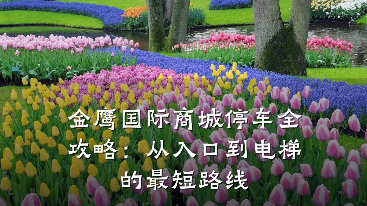 金鹰国际商城停车全攻略：从入口到电梯的最短路线