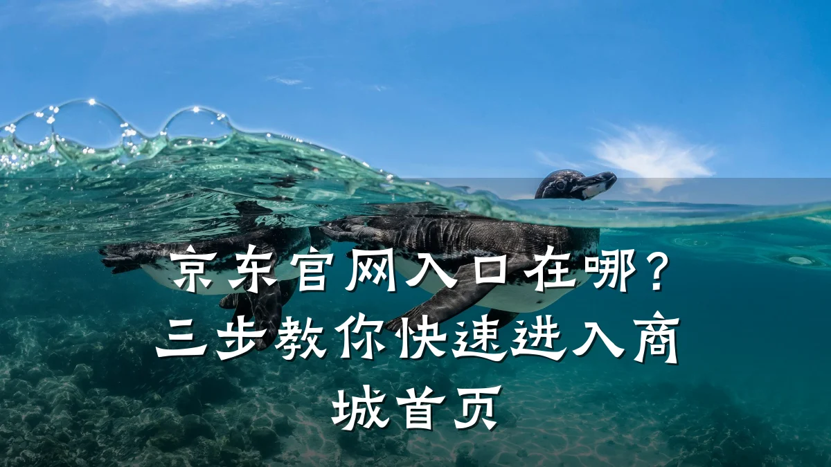 京东官网入口在哪?三步教你快速进入商城首页