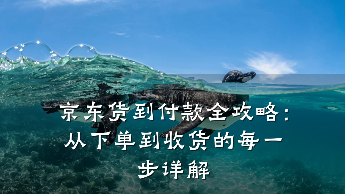 京东货到付款全攻略：从下单到收货的每一步详解