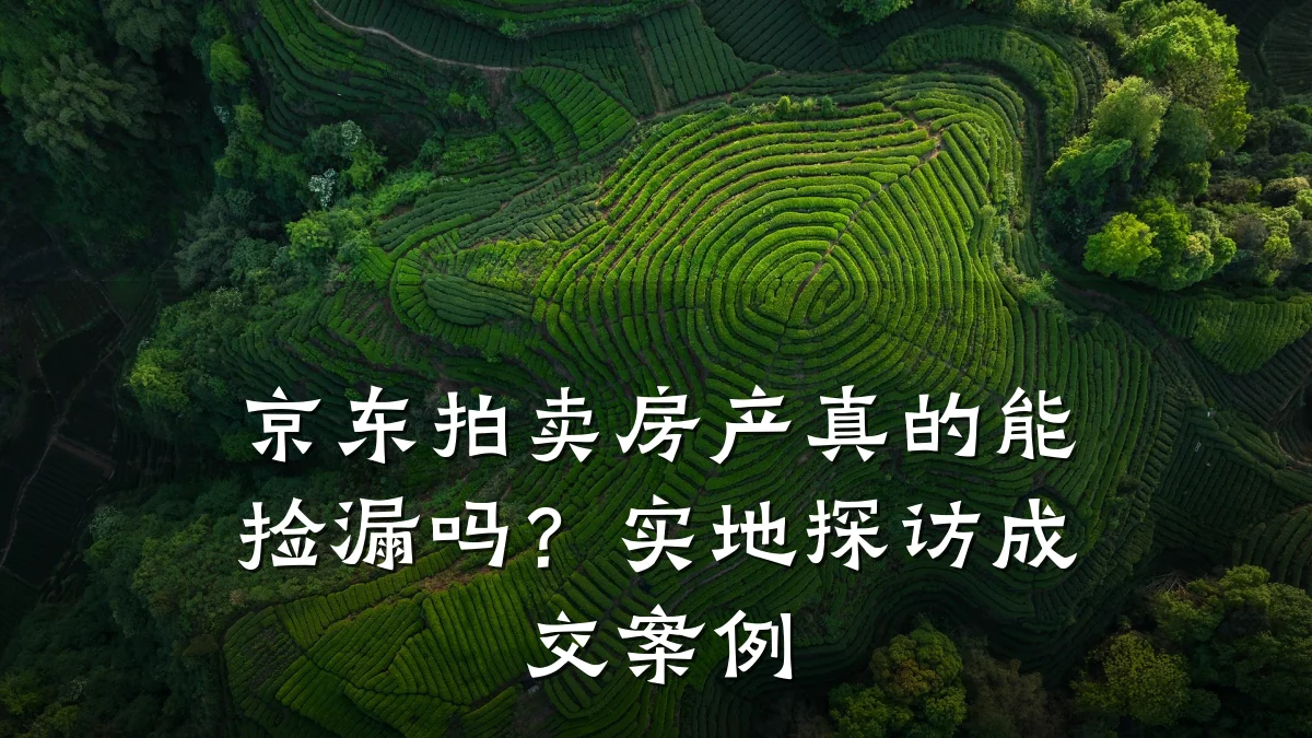 京东拍卖房产真的能捡漏吗?实地探访成交案例