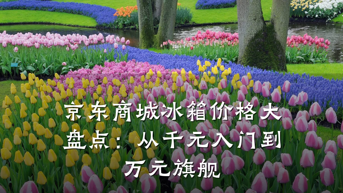 京东商城冰箱价格大盘点：从千元入门到万元旗舰