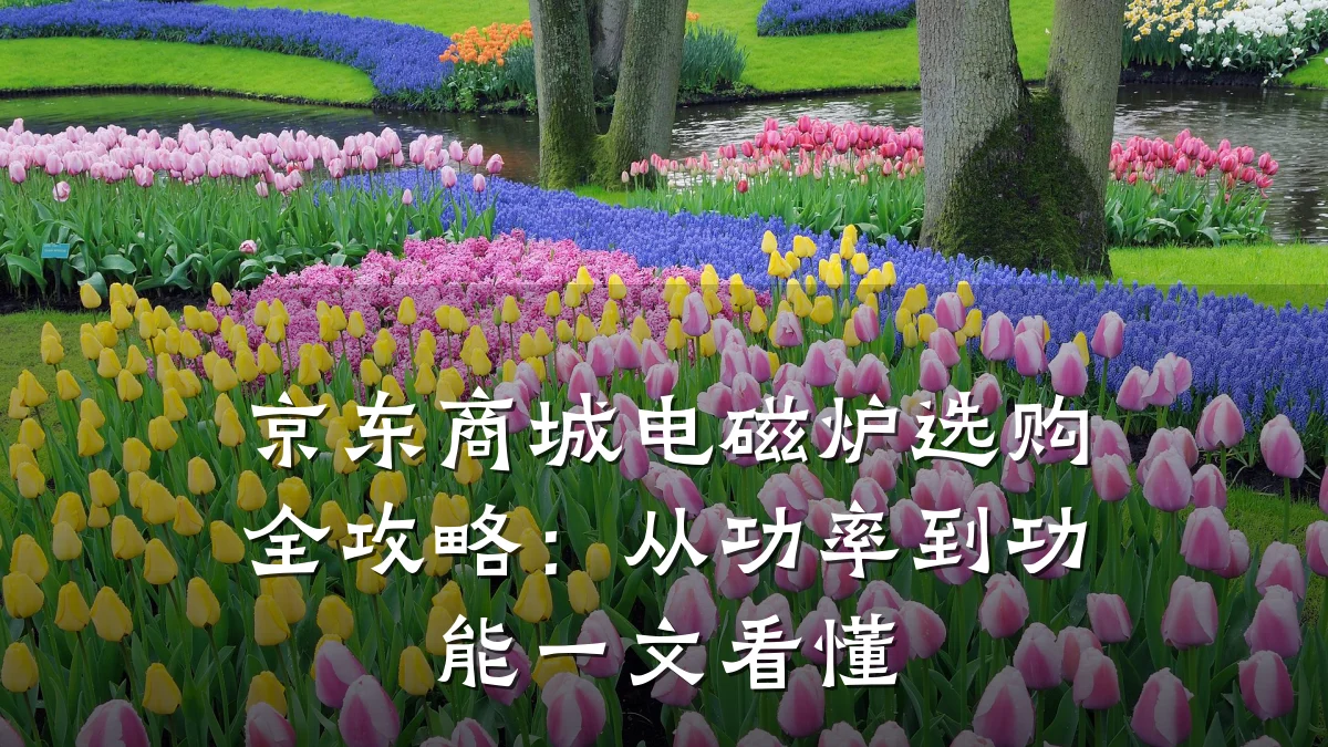 京东商城电磁炉选购全攻略:从功率到功能一文看懂