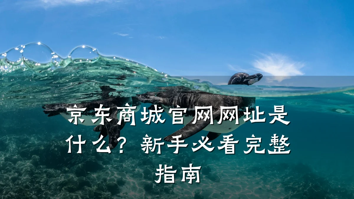 京东商城官网网址是什么？新手必看完整指南