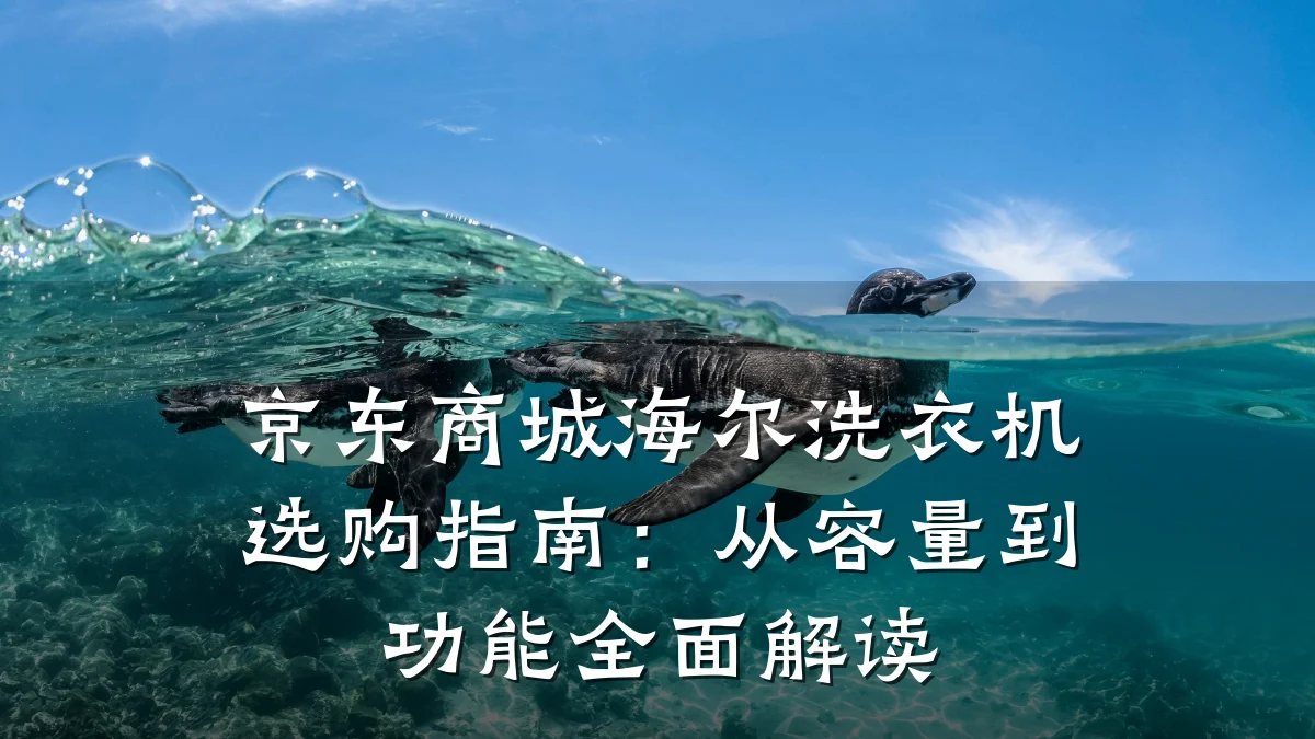 京东商城海尔洗衣机选购指南:从容量到功能全面解读