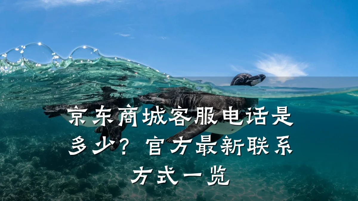 京东商城客服电话是多少？官方最新联系方式一览