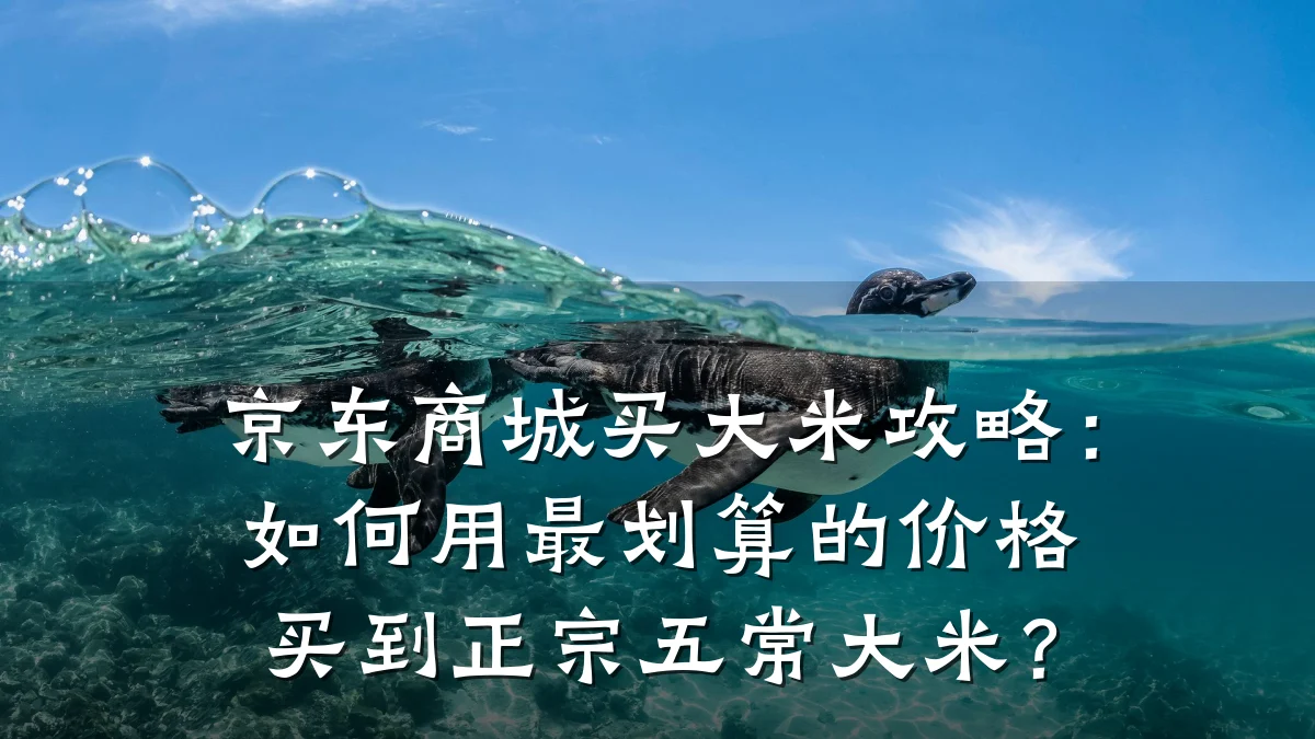 京东商城买大米攻略：如何用最划算的价格买到正宗五常大米？