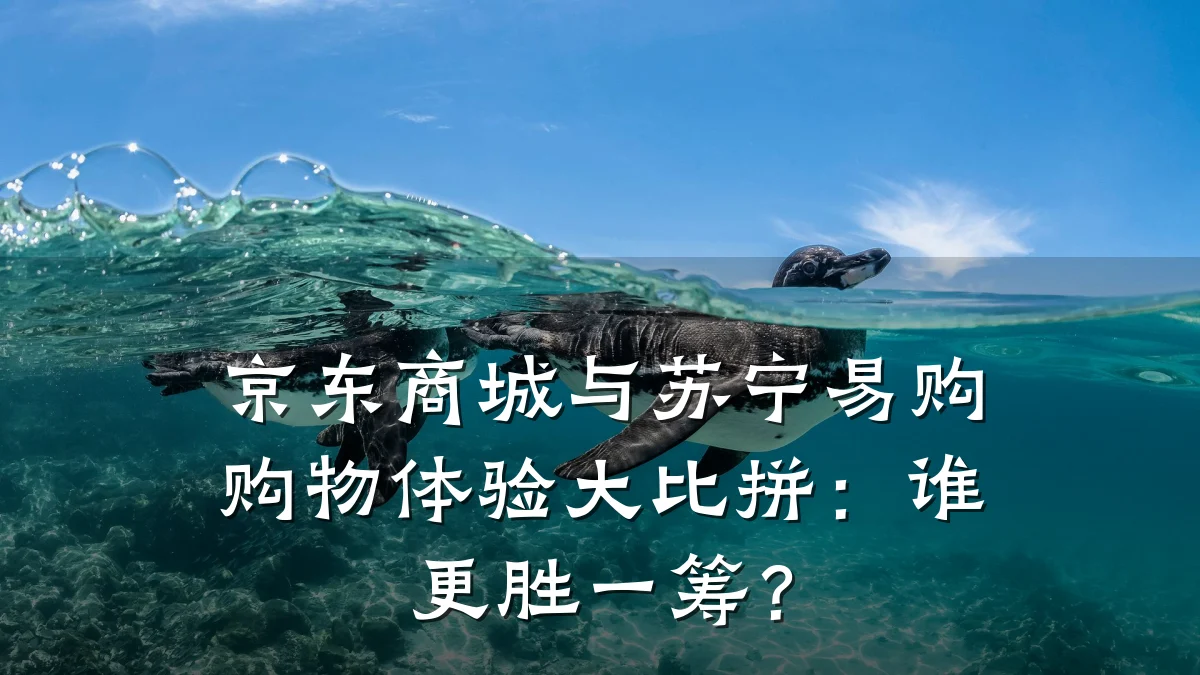京东商城与苏宁易购购物体验大比拼:谁更胜一筹?