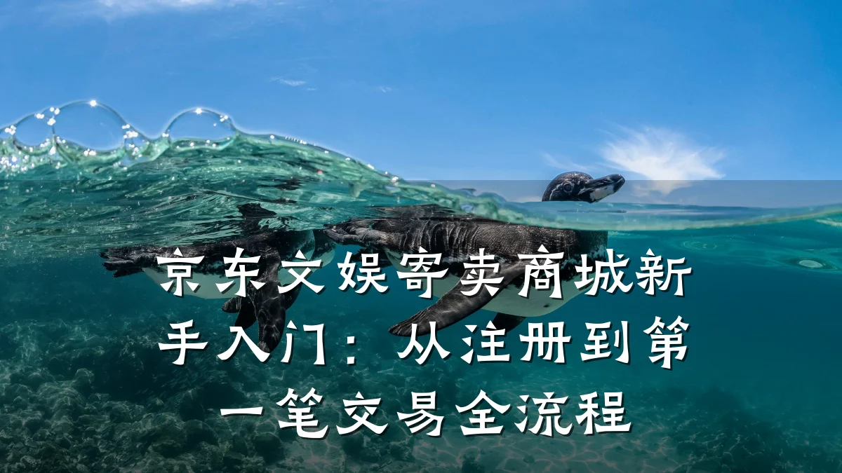 京东文娱寄卖商城新手入门:从注册到第一笔交易全流程