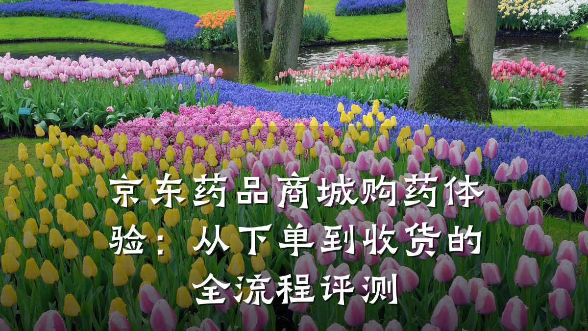 京东药品商城购药体验:从下单到收货的全流程评测