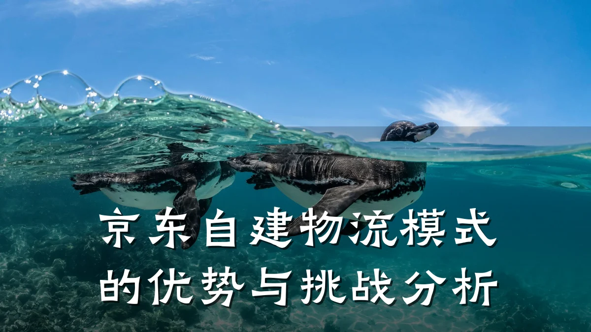 京东自建物流模式的优势与挑战分析