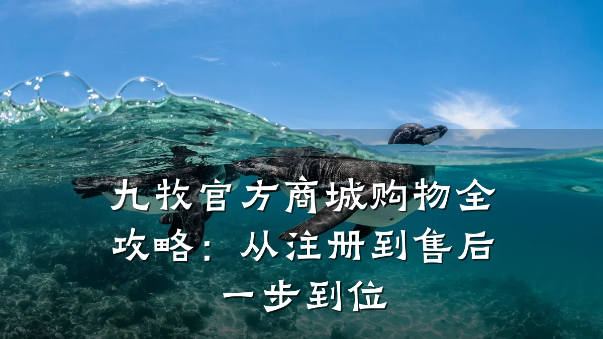 九牧官方商城购物全攻略：从注册到售后一步到位