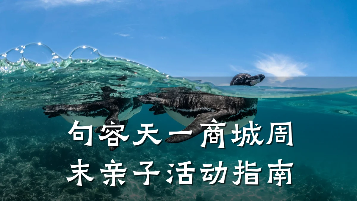句容天一商城周末亲子活动指南