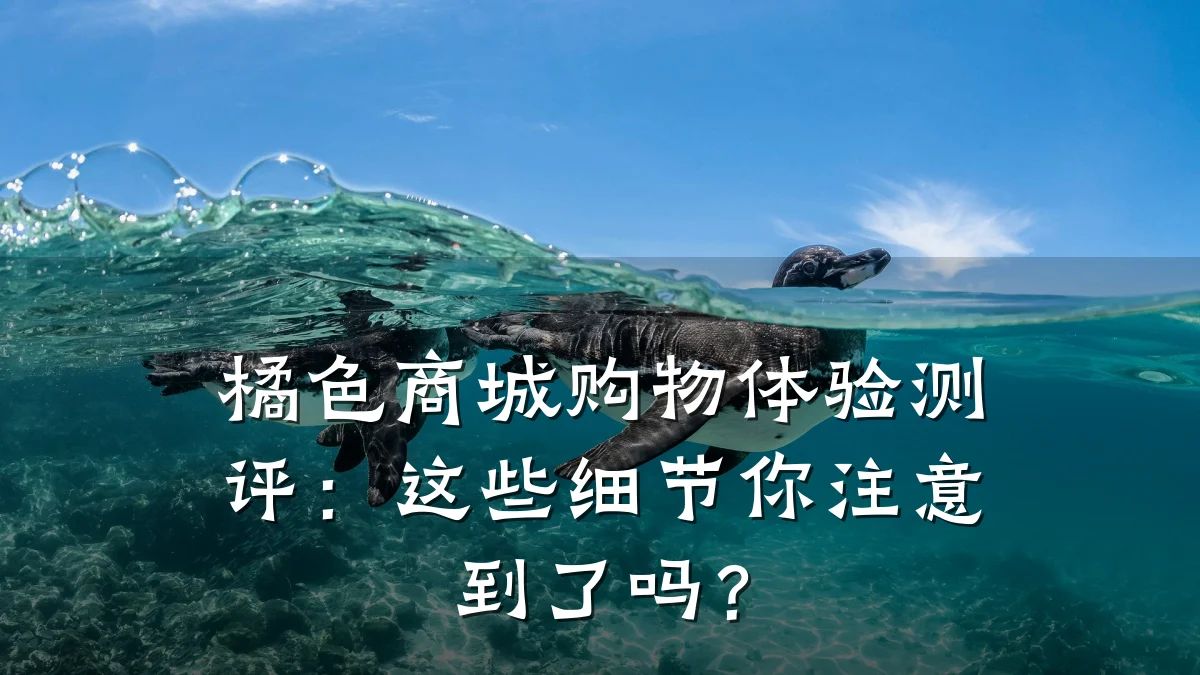 橘色商城购物体验测评:这些细节你注意到了吗?