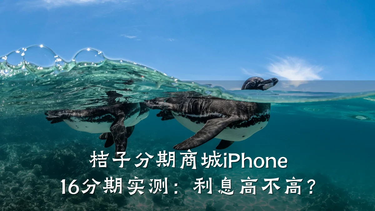 桔子分期商城iPhone 16分期实测:利息高不高?