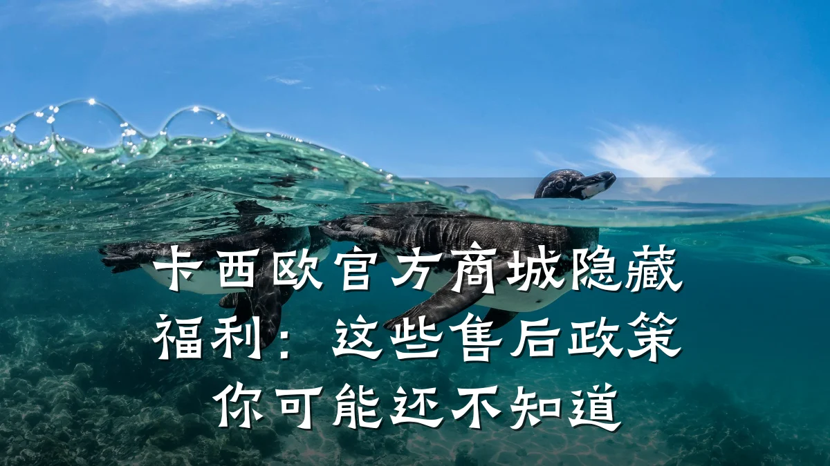 卡西欧官方商城隐藏福利：这些售后政策你可能还不知道