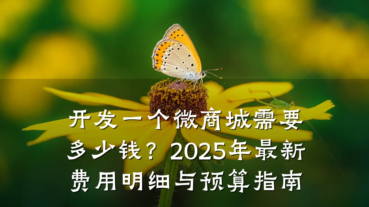 开发一个微商城需要多少钱？2025年最新费用明细与预算指南