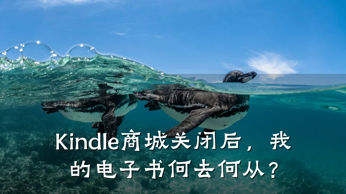 Kindle商城关闭后,我的电子书何去何从?