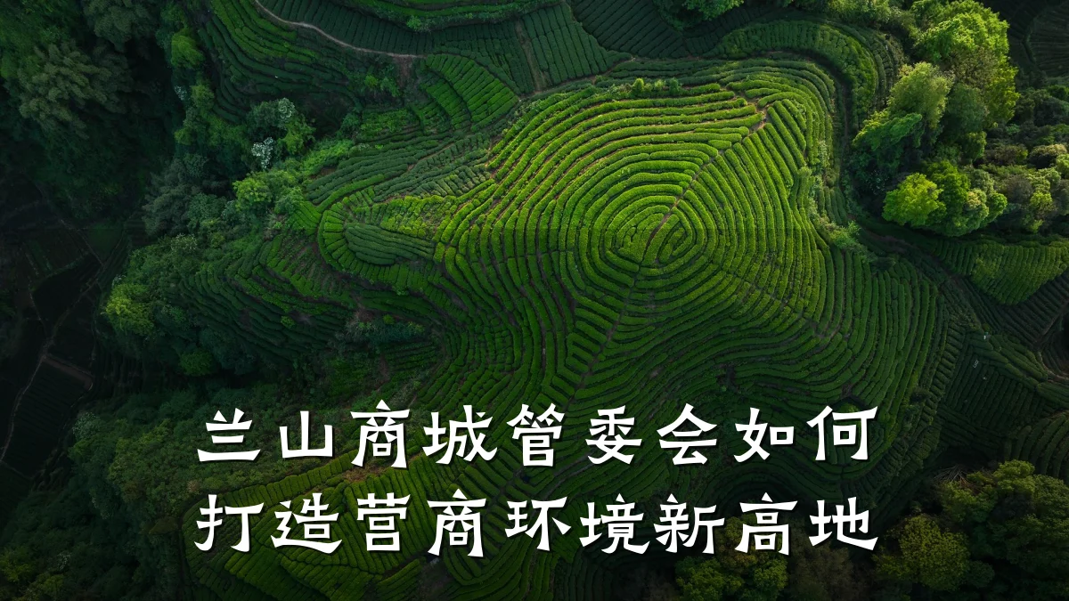 兰山商城管委会如何打造营商环境新高地