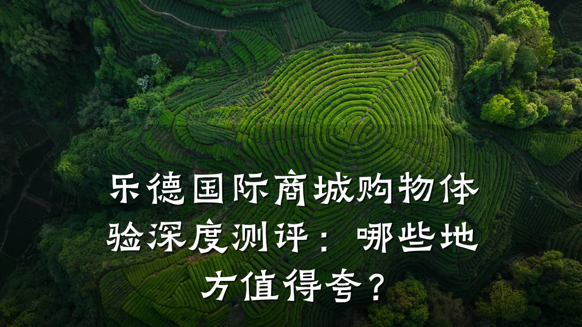 乐德国际商城购物体验深度测评:哪些地方值得夸?