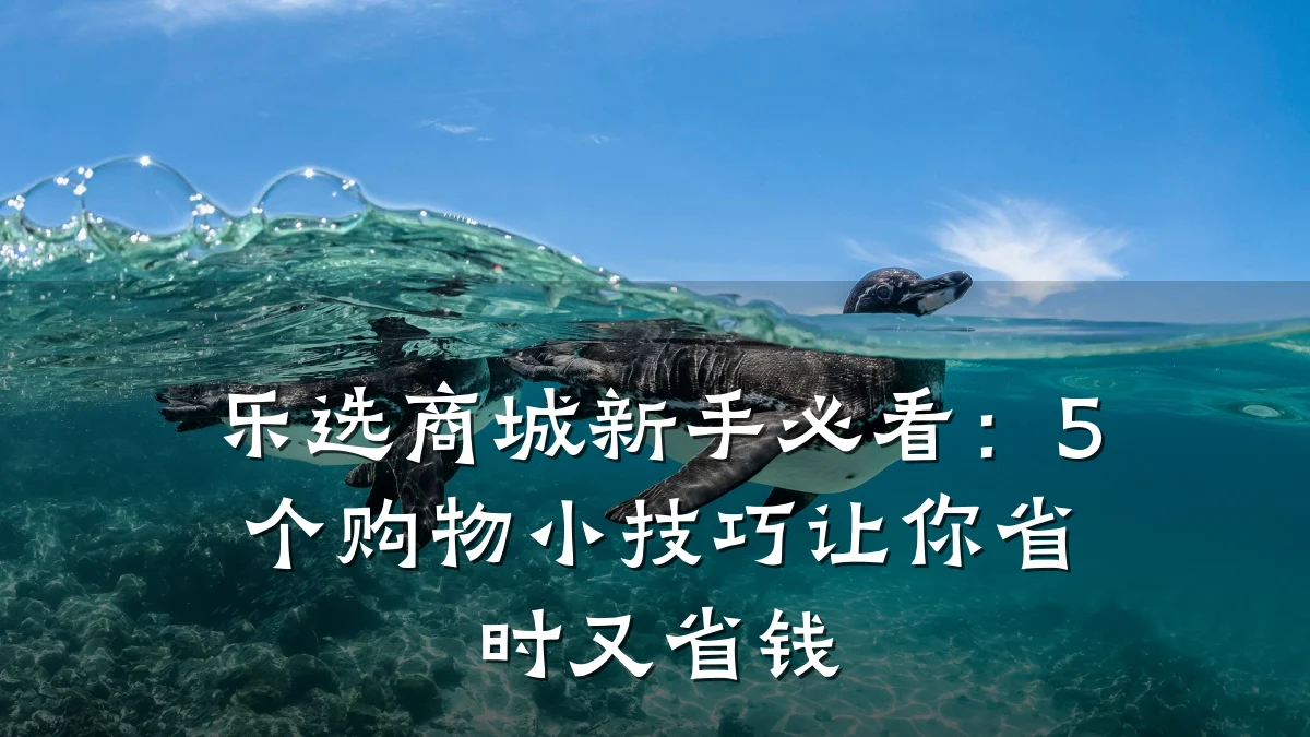 乐选商城新手必看:5个购物小技巧让你省时又省钱