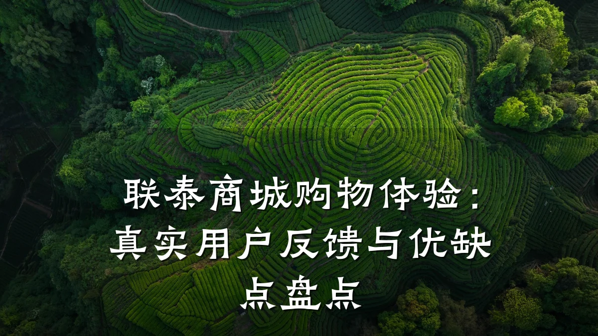 联泰商城购物体验：真实用户反馈与优缺点盘点