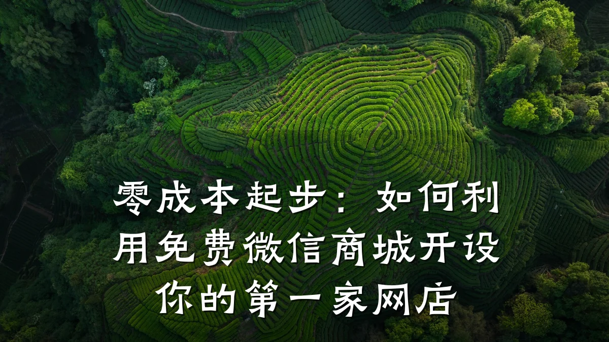 零成本起步：如何利用免费微信商城开设你的第一家网店