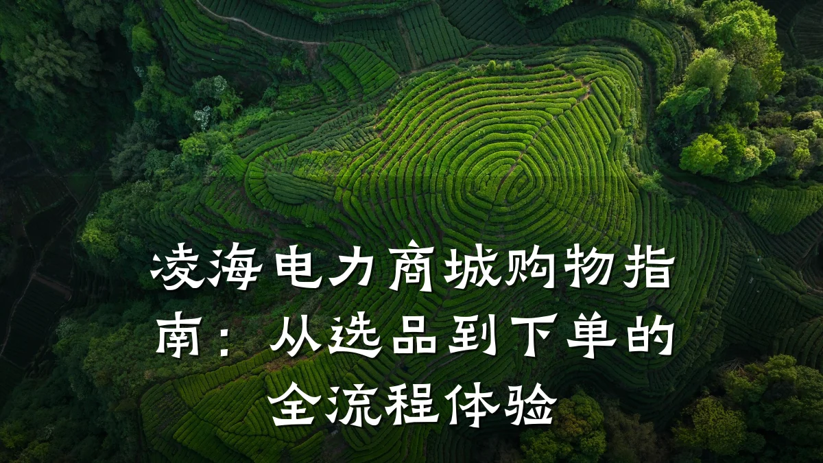凌海电力商城购物指南：从选品到下单的全流程体验