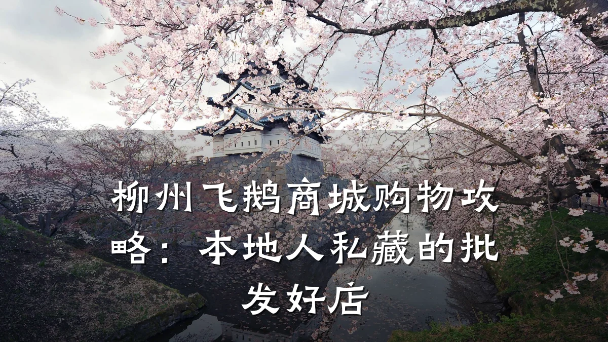 柳州飞鹅商城购物攻略：本地人私藏的批发好店