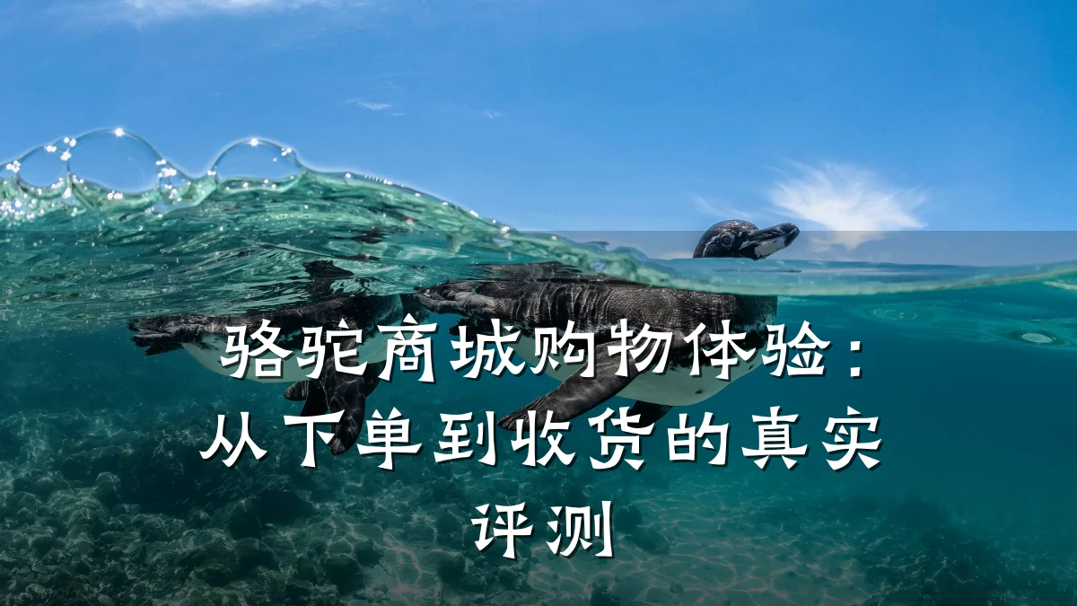 骆驼商城购物体验：从下单到收货的真实评测