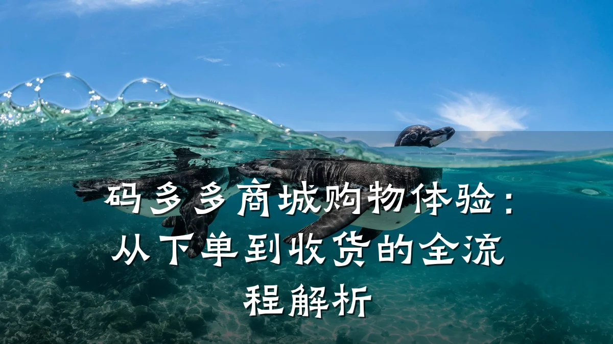 码多多商城购物体验：从下单到收货的全流程解析