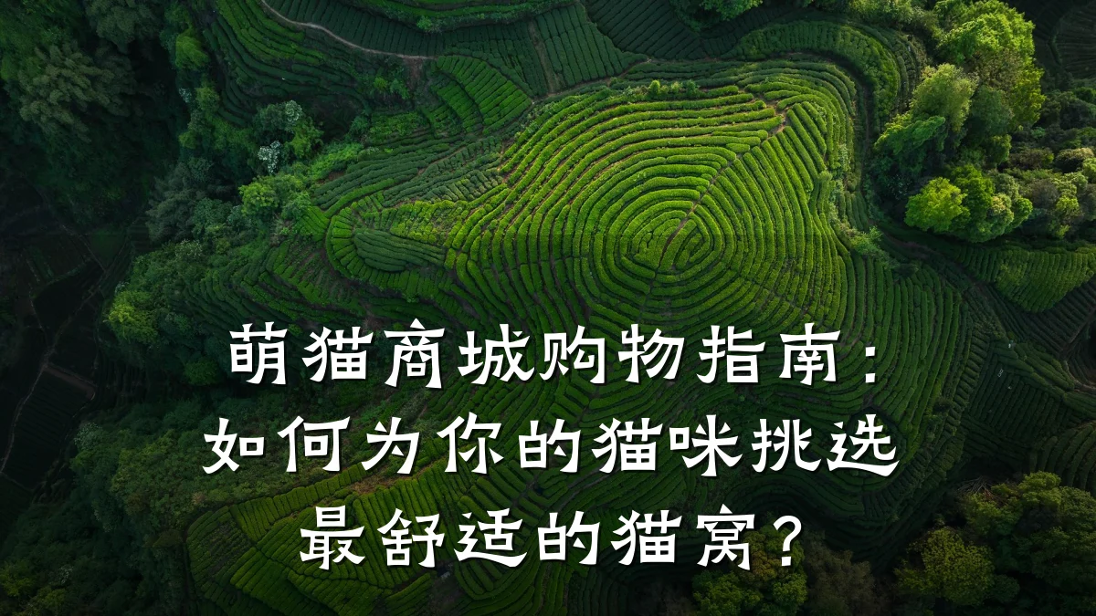 萌猫商城购物指南:如何为你的猫咪挑选最舒适的猫窝?