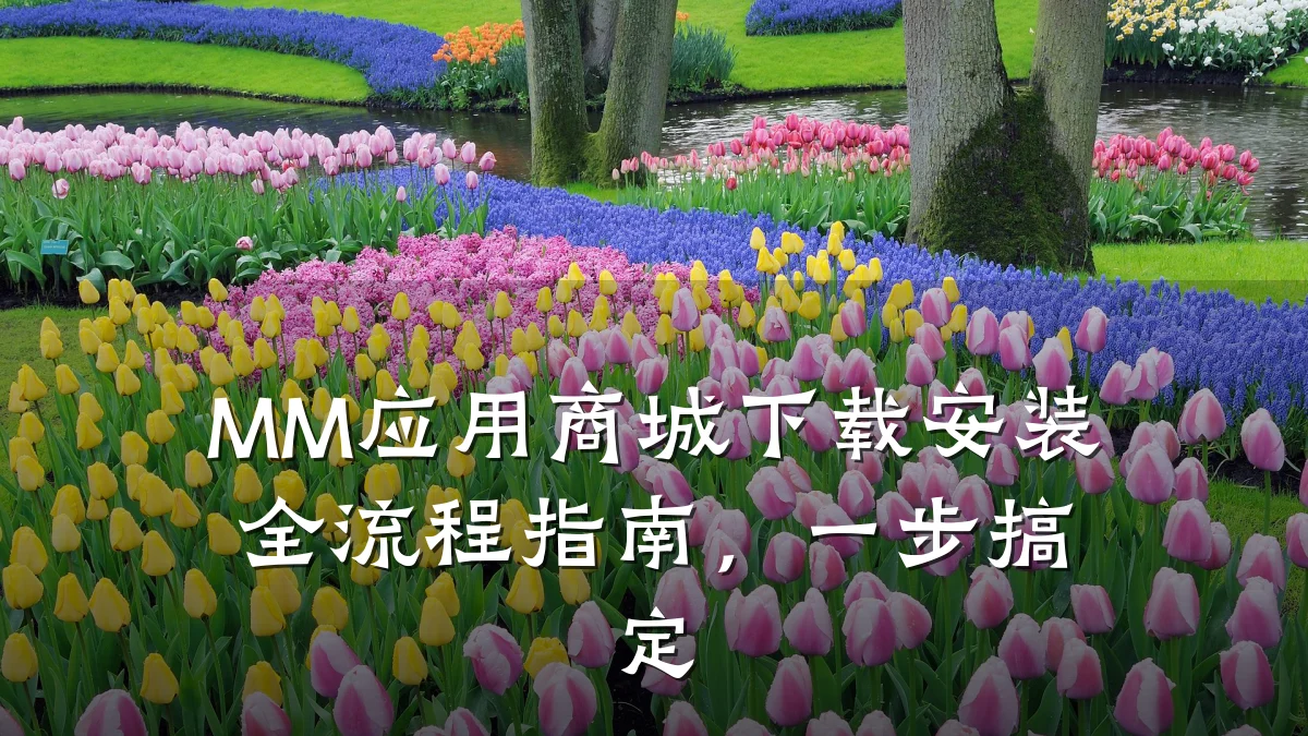 MM应用商城下载安装全流程指南,一步搞定