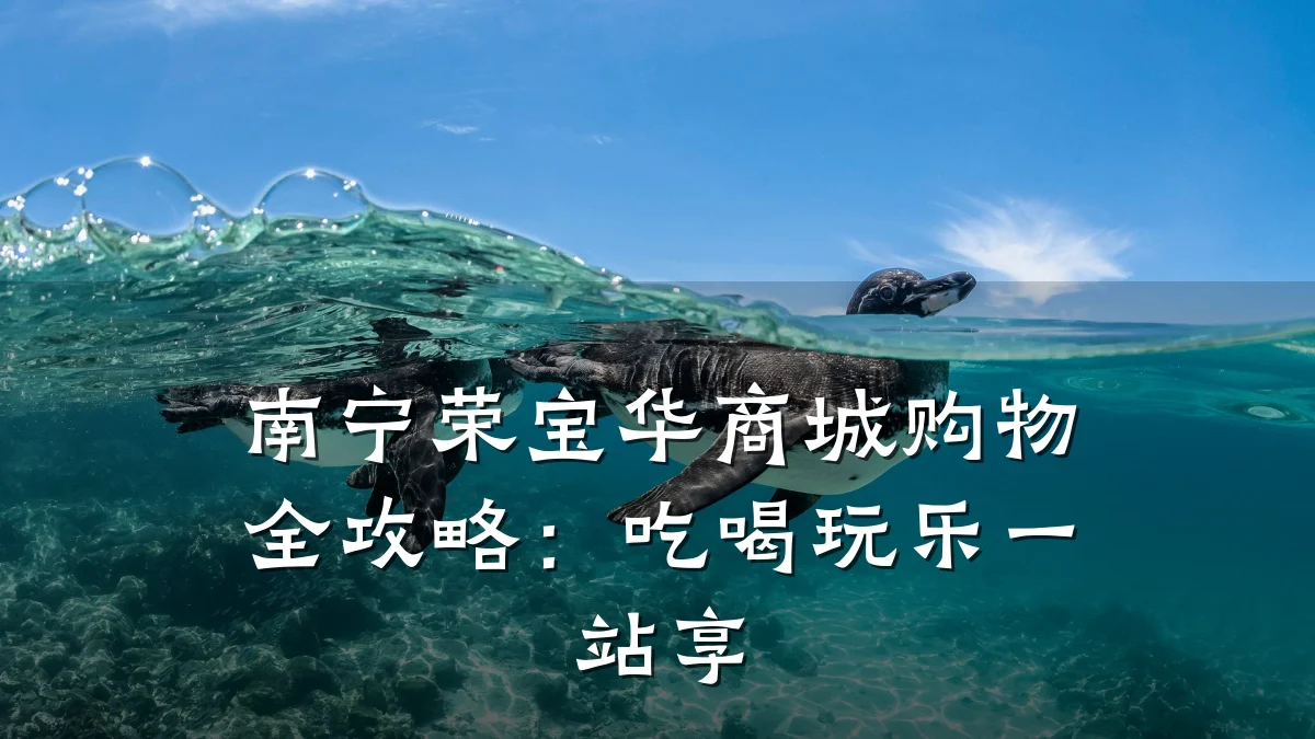南宁荣宝华商城购物全攻略:吃喝玩乐一站享