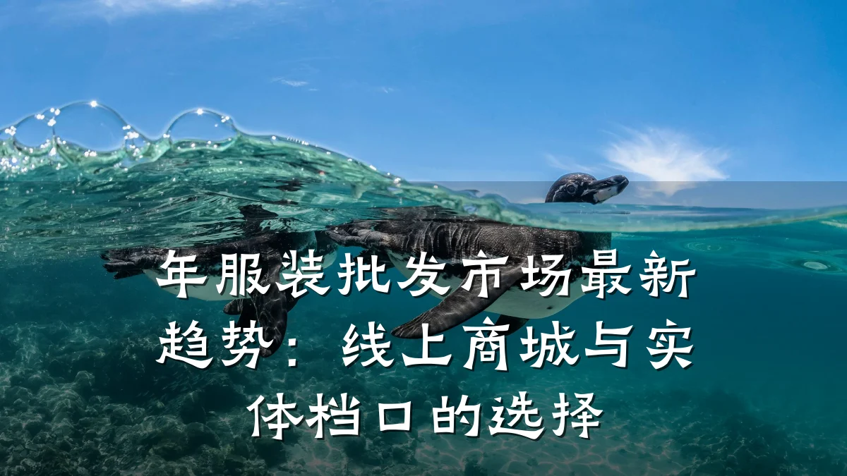 年服装批发市场最新趋势：线上商城与实体档口的选择