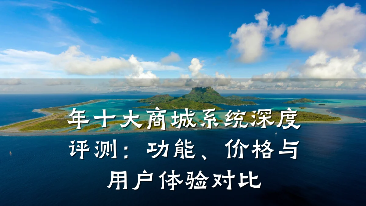 年十大商城系统深度评测:功能、价格与用户体验对比