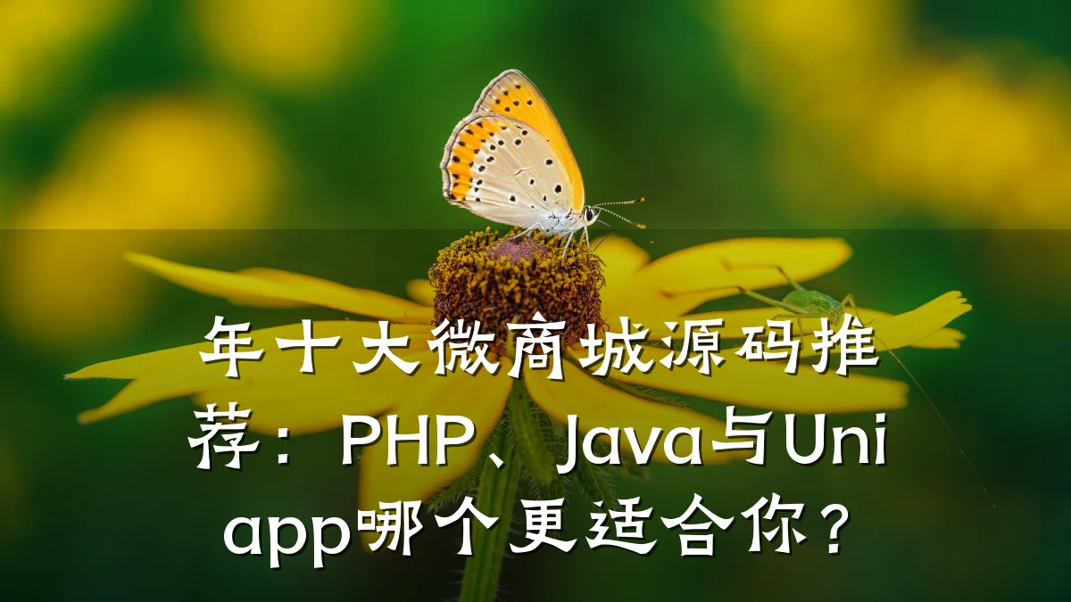 年十大微商城源码推荐:PHP、Java与Uniapp哪个更适合你?