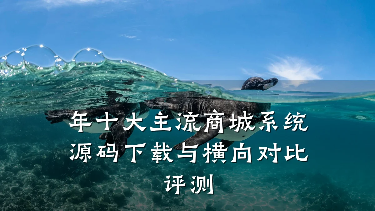 年十大主流商城系统源码下载与横向对比评测