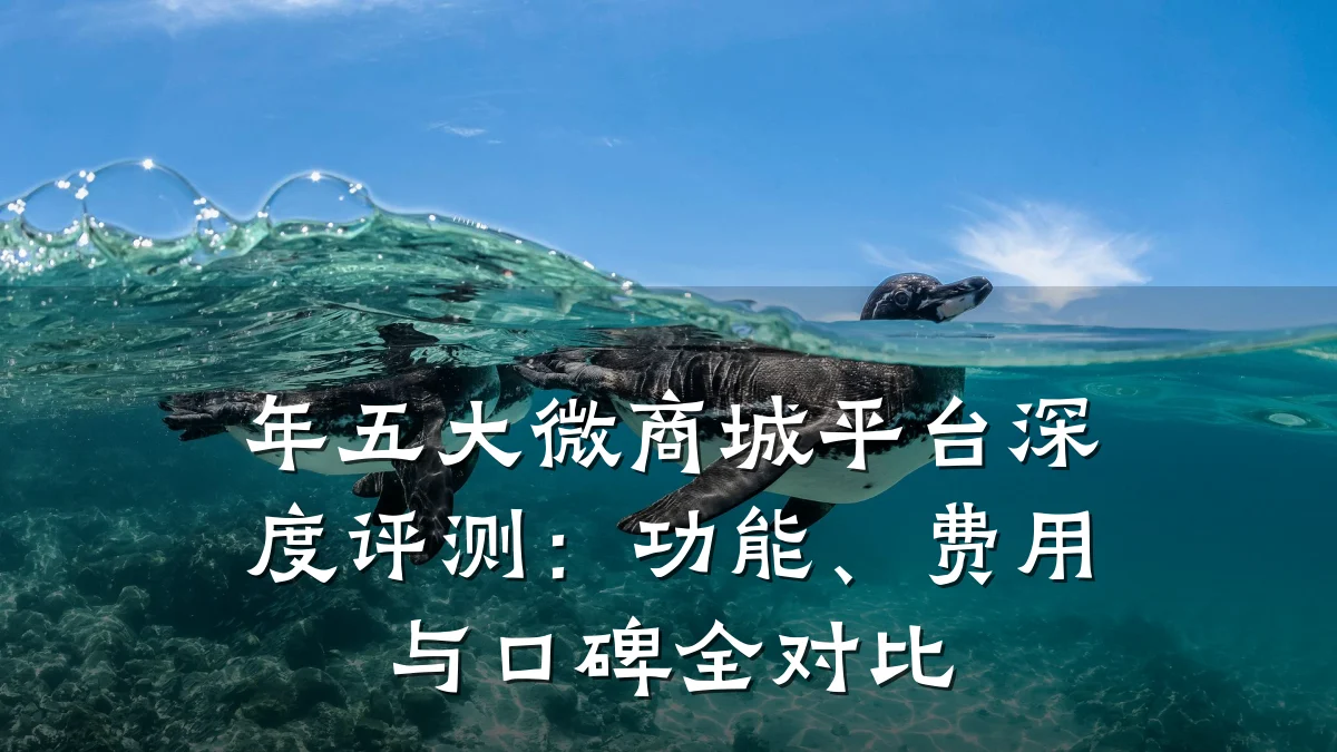 年五大微商城平台深度评测:功能、费用与口碑全对比
