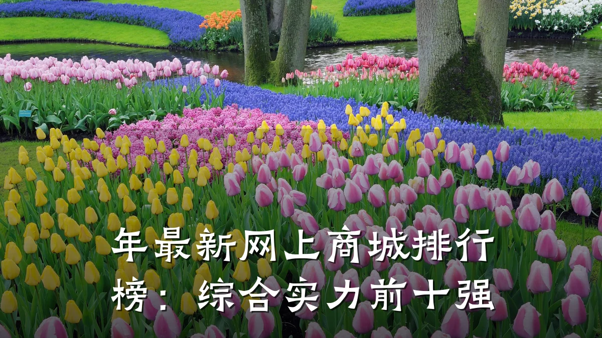 年最新网上商城排行榜：综合实力前十强