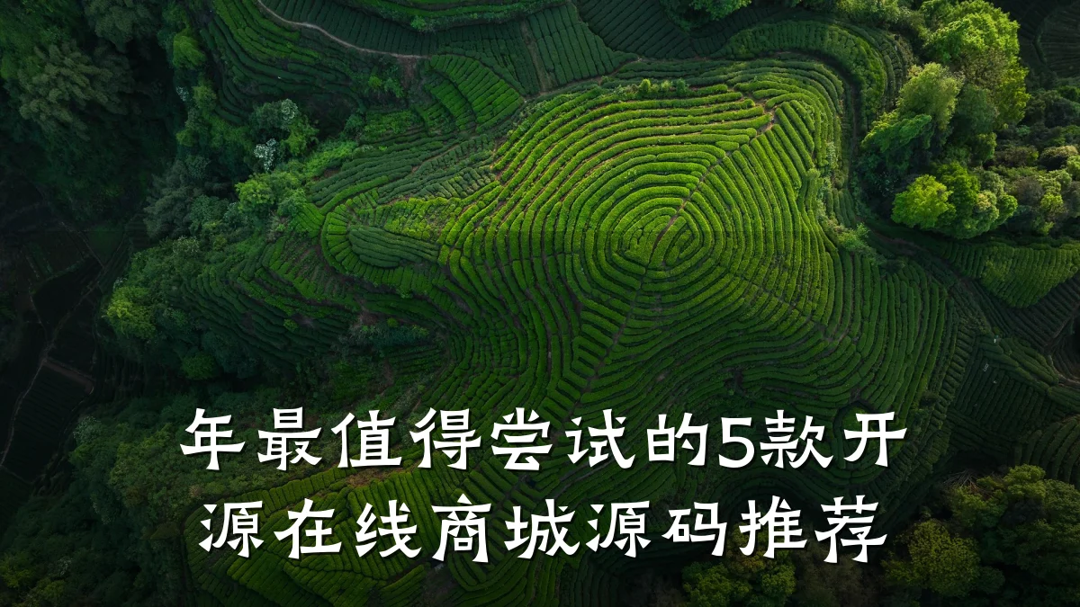 年最值得尝试的5款开源在线商城源码推荐