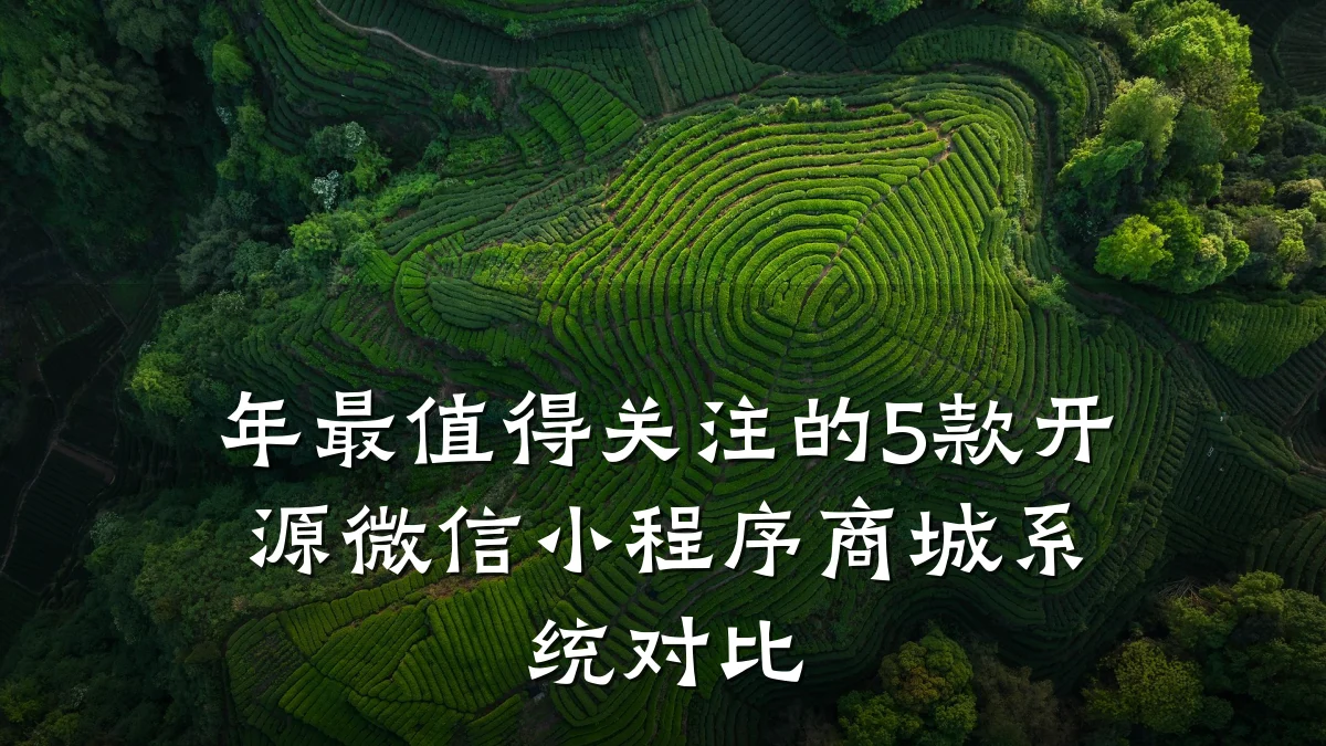 年最值得关注的5款开源微信小程序商城系统对比