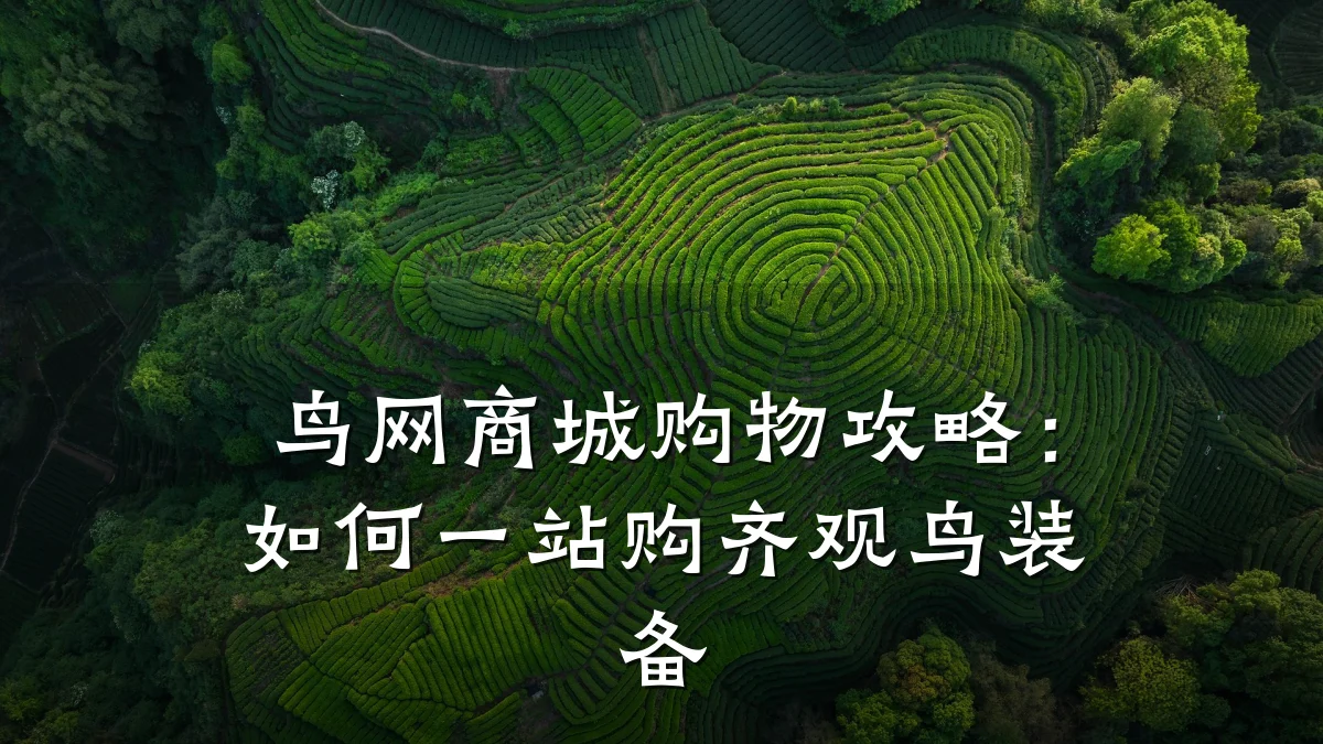 鸟网商城购物攻略：如何一站购齐观鸟装备