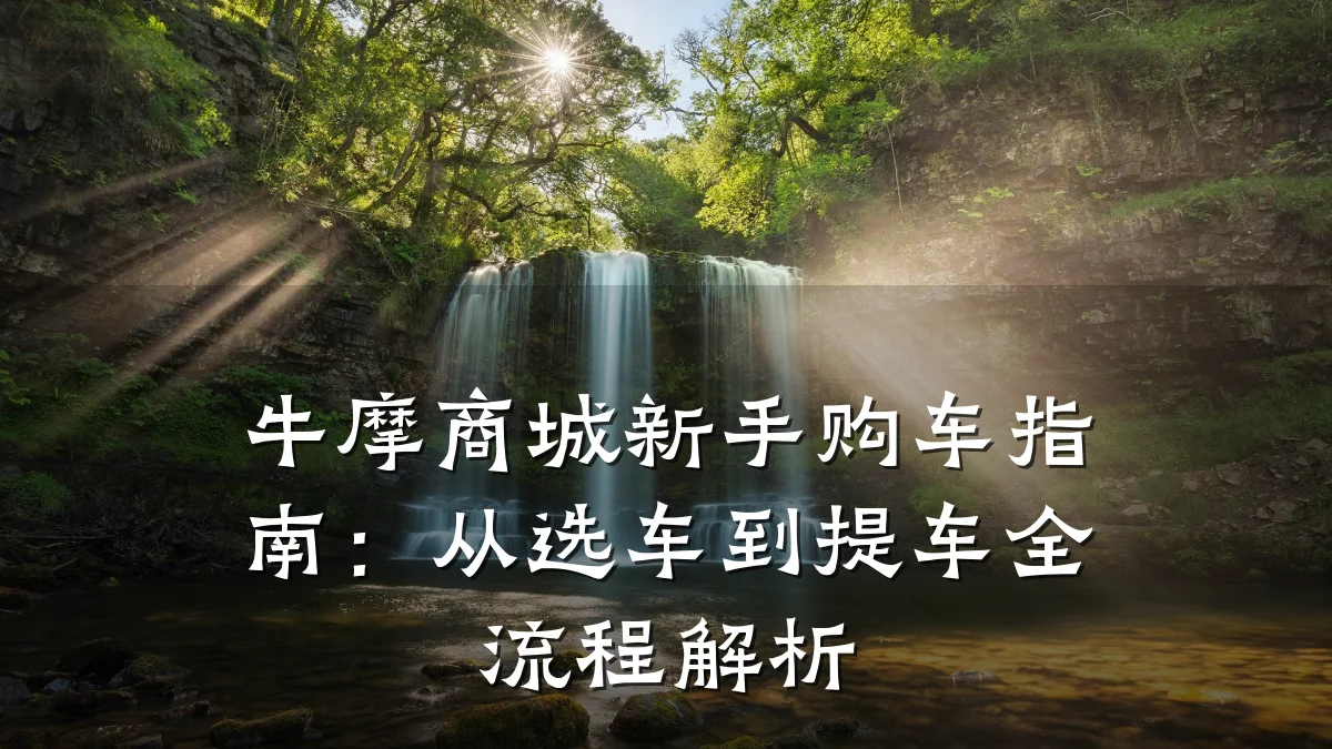 牛摩商城新手购车指南：从选车到提车全流程解析