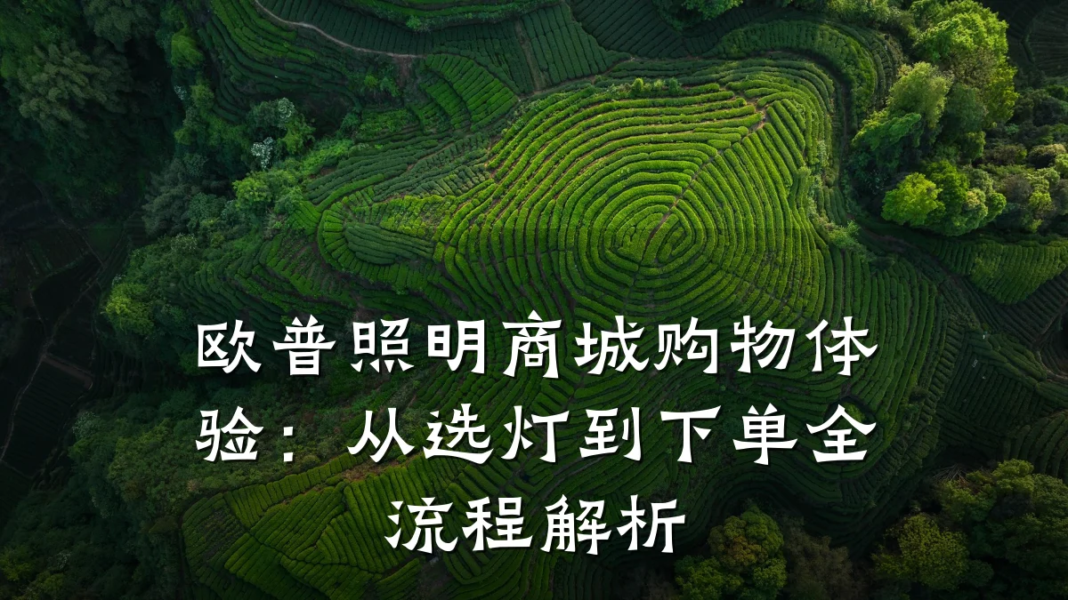 欧普照明商城购物体验：从选灯到下单全流程解析