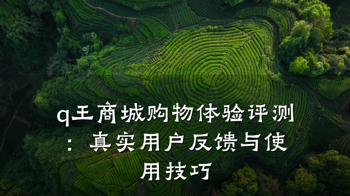 q王商城购物体验评测:真实用户反馈与使用技巧