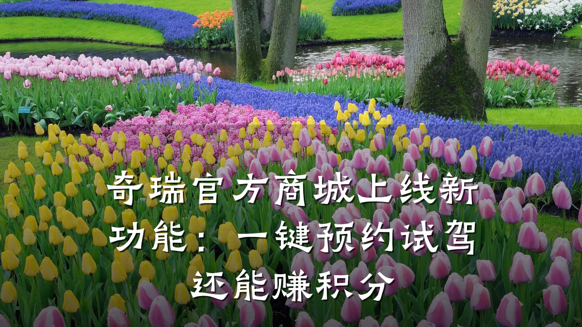 奇瑞官方商城上线新功能:一键预约试驾还能赚积分