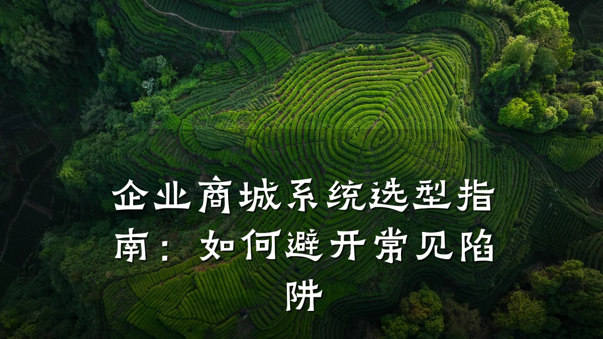 企业商城系统选型指南：如何避开常见陷阱